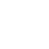 1000 plus