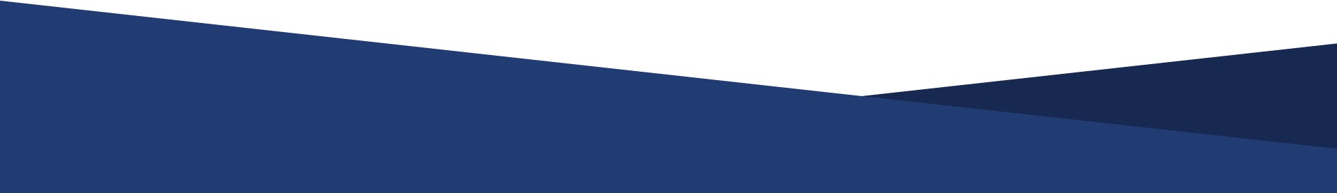 The image displays an abstract, geometric pattern of overlapping blue triangles, creating a modern, minimalist design with varying shades and angles.