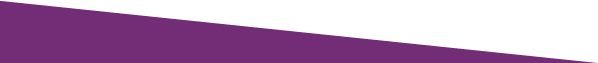 The image shows a solid purple triangle covering the majority of the space, set against a black background. No people or landmarks visible.