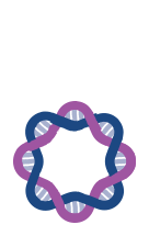Colorful DNA strand pattern intertwined in a hexagonal shape. Features pink and blue strands connected with circular elements. No people, landmarks, or buildings visible.